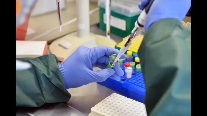 No consultation with private laboratories for determining the price of RT-PCR test, against natural justice: Kerala HC No consultation with private laboratories for determining the price of RT-PCR test, against natural justice: Kerala HC